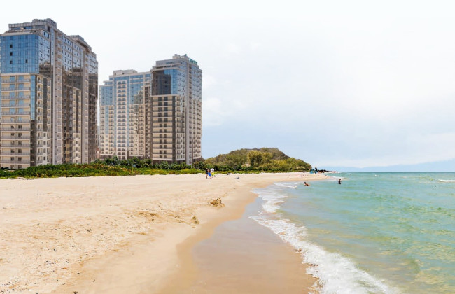 Нацполиция сообщила о подозрении экс-начальнице отдела Одесского горсовета после проверки НАПК