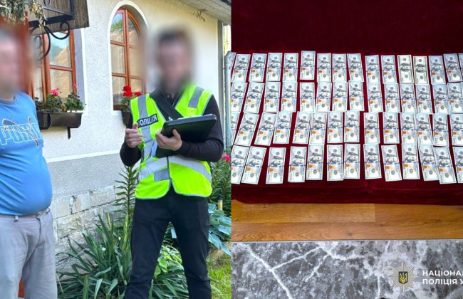 Пенсионер из Ивано-Франковска за 10 тысяч долларов переправлял мужчин за границу