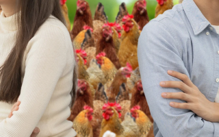 У Китаї суддя порадив подружжю, яке ділить 29 курей, з’їсти «зайву» разом