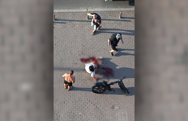 В Киеве собака без поводка покусала женщину и ее питомца