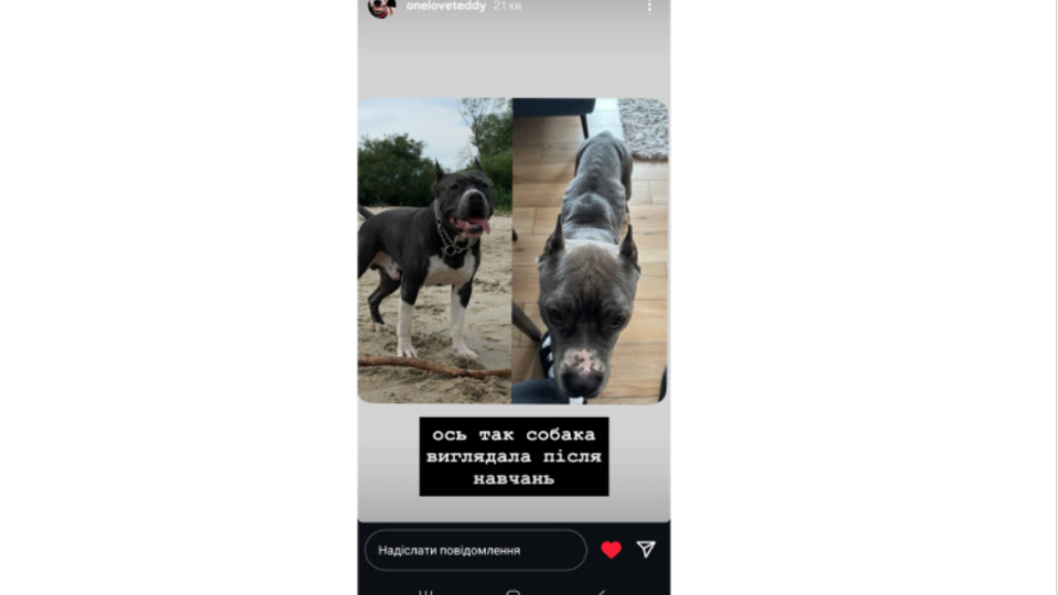Киевляне требуют проверить кинологический центр Dogland by Loktionov из-за подозрений в издевательствах над собаками