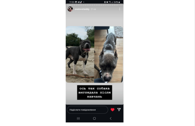 Кияни вимагають перевірити кінологічний центр Dogland by Loktionov через підозри у знущанні над собаками