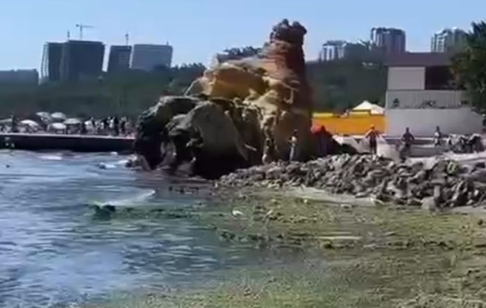 В Одесі масово «зацвіло» море: зафіксовано перевищення шкідливих речовин у воді, відео