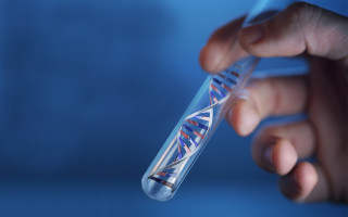 Апеляційний суд підтвердив відмову у визнанні батьківства через невідповідність ДНК-доказу з Польщі