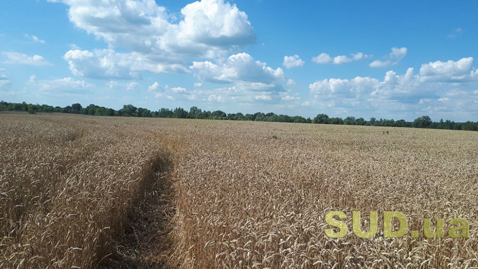 Сплата земельного податку — що потрібно знати про нарахування і пільги та орендну плату