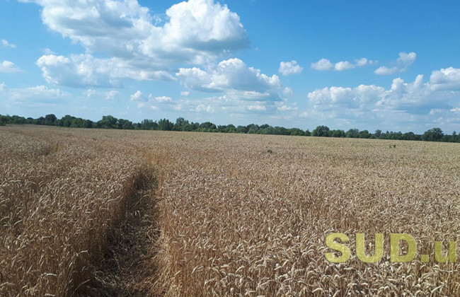 Оплата земельного налога — что нужно знать о начислении, льготах и арендной плате