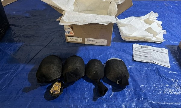 США разоблачили мужчину, который отправлял 850 черепах как «пластиковые игрушки»