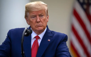 Отказ от Крыма и НАТО — Трамп заявил, что Зеленский может «немедленно завершить войну»