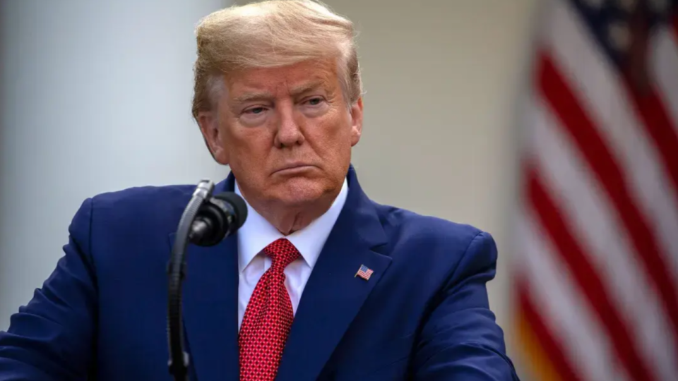 Отказ от Крыма и НАТО — Трамп заявил, что Зеленский может «немедленно завершить войну»