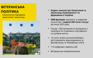 Кабмін внесе до парламенту кодекс законів про Захисників та Захисниць Незалежності та Державності України