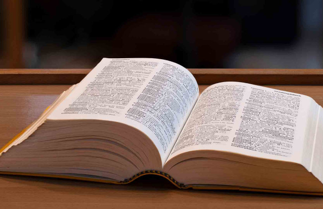 Кембриджский словарь пополнился новыми словами из TikTok – skibidi, delulu и tradwife