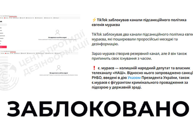 TikTok заблокировал каналы подсанкционного политика Мураева