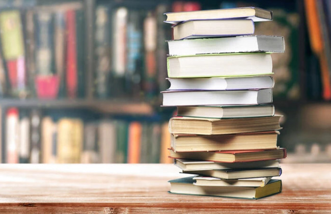 Дания отменит самый высокий в Европе налог на книги, чтобы преодолеть кризис чтения