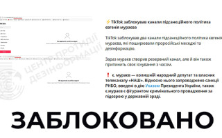 TikTok заблокував канали підсанкційного політика Мураєва