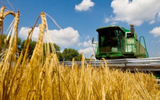 У Державному аграрному реєстрі запрацював ще один функціонал для сільгоспвиробників