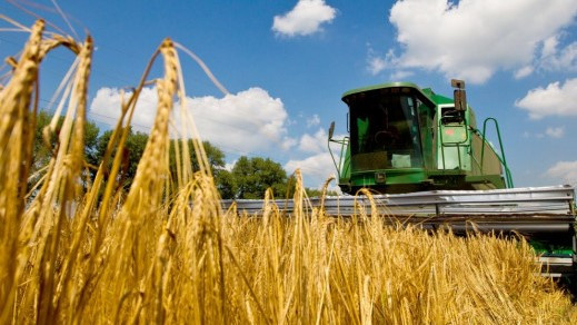 В Государственном аграрном реестре заработал еще один функционал для сельхозпроизводителей