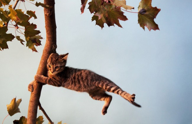 В області та Києві оголосили штормове попередження: гроза, град і сильний вітер