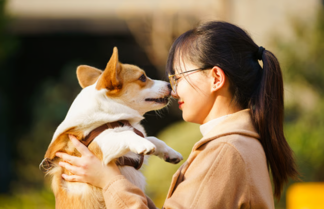 У Китаї власники тварин платять «екстрасенсам» за спілкування з померлими улюбленцями — скандал набирає обертів
