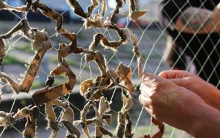 В Україні планують запровадити окремий статус для осіб, що брали участь у заходах оборонного характеру