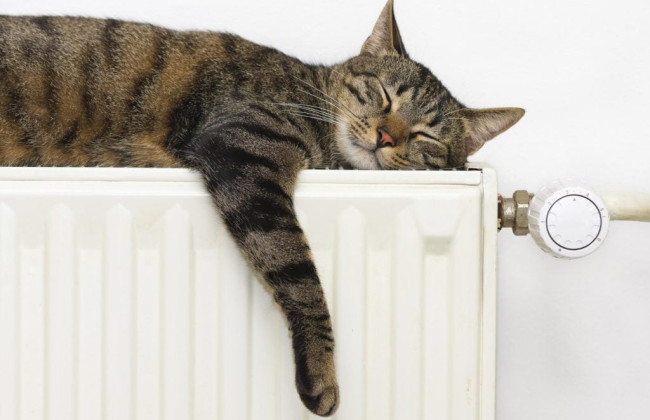 Правительство предлагает урегулировать энергетический надзор в сфере теплоснабжения