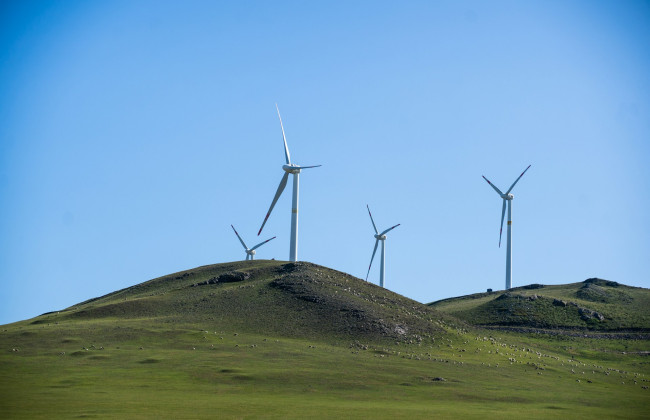 Рада поддержала в первом чтении законопроект о новых правилах для «зеленой» энергетики