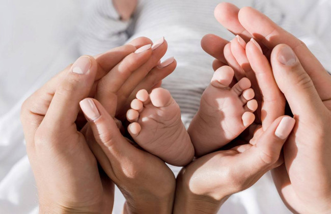 В Минздраве рассказали, что предусматривает законопроект о суррогатном материнство и криоконсервации