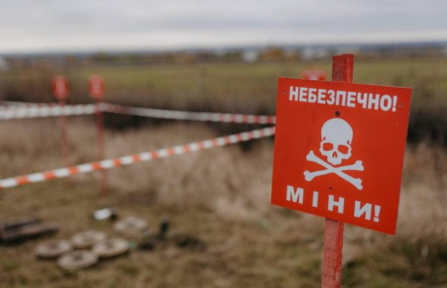 Кабмин определил правила обследования земельных участков с налоговыми льготами из-за риска загрязнения