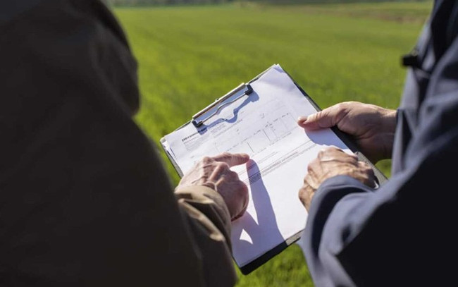 Апелляционный суд отменил решение о истребовании земли, признав наличие арендного договора — детали дела