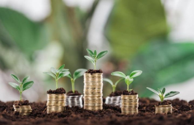 Несет ли ответственность физлицо за несвоевременную уплату земельного налога, если контролирующий орган не вручил ППР