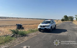 В Одесской области в ДТП перевернулся автомобиль мэра Рени Плехова – его мать погибла