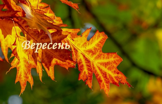 2 сентября – какой сегодня праздник и главные события