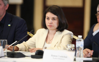 Податкові перевірки бізнесу скоротилися майже на третину після мораторію, — Леся Карнаух