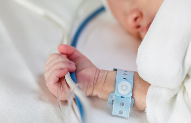 В «самом чистом городе» Индии младенцев в больнице покусали крысы — разразился скандал