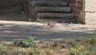 В Одессе женщина выбросила новорожденного ребенка из окна пятого этажа
