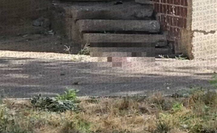 В Одесі жінка викинула новонароджену дитину з вікна п’ятого поверху