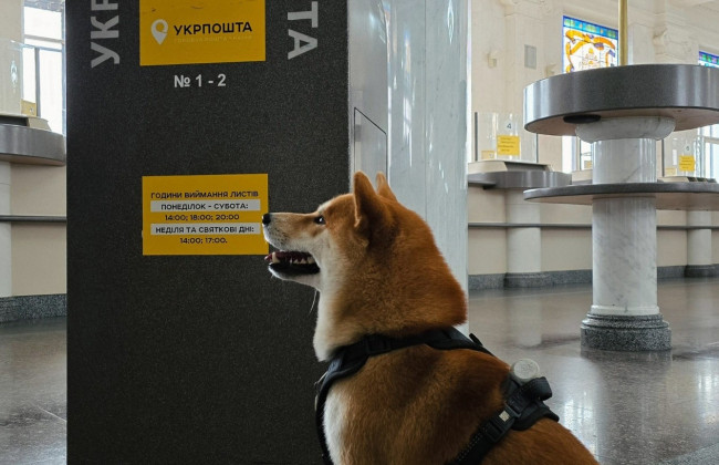 «Укрпочта» запустила «Экспресс-окна» для быстрой выдачи посылок