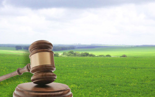 Апелляционный суд поддержал истребование незаконно приватизированной земли — подробности дела