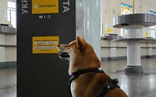 «Укрпошта» запустила «Експрес-вікна» для швидкої видачі посилок