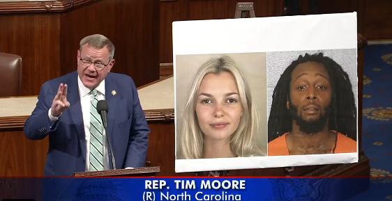 Илон Маск выделит $1 млн на создание муралов в память об убитой украинке Ирине Заруцкой