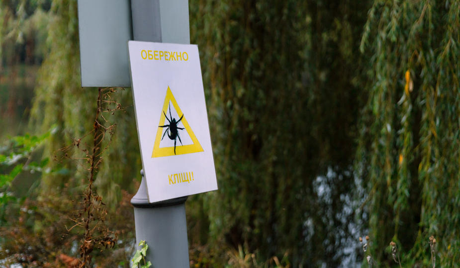 У Києві розпочали планові обробки зелених зон від кліщів – перелік локацій