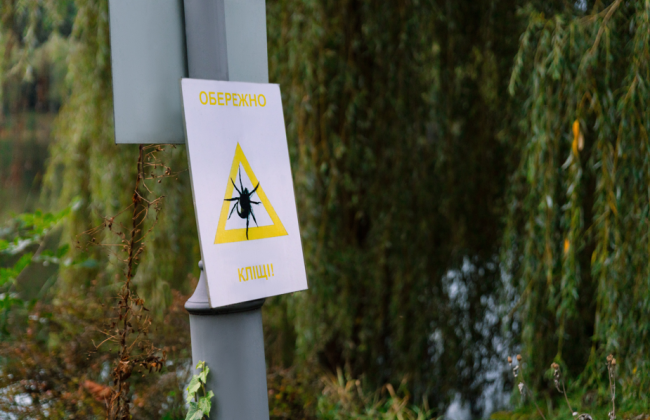 В Киеве начали плановые обработки зеленых зон от клещей – перечень локаций