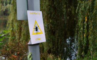 У Києві розпочали планові обробки зелених зон від кліщів – перелік локацій