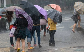 Жовтий рівень небезпечності: на заході України очікують сильний вітер і грози