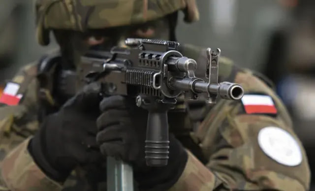 Более 20 тысяч поляков записались на добровольные военные курсы