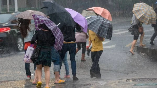 Жовтий рівень небезпечності: на заході України очікують сильний вітер і грози