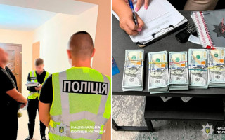 Виготовляв фальшиві посвідчення водія та свідоцтва про реєстрацію авто — викрили підпільну поліграфію