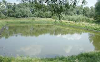 В Черкасской области будут судить мужчину, который сделал пруд на земле для ведения сельского хозяйства