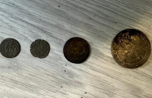 На Закарпатье будут судить «черного археолога», который пытался продать уникальный клад бронзовых кельтов