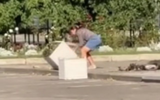 В Винницкой области женщина разгромила клумбы возле Аллеи памяти погибших героев