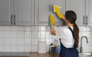 В Гоструда объяснили, может ли быть работодателем домашнего работника юридическое лицо